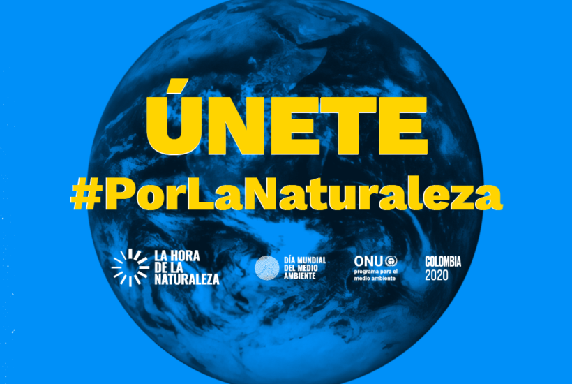 Día mundial del medio ambiente